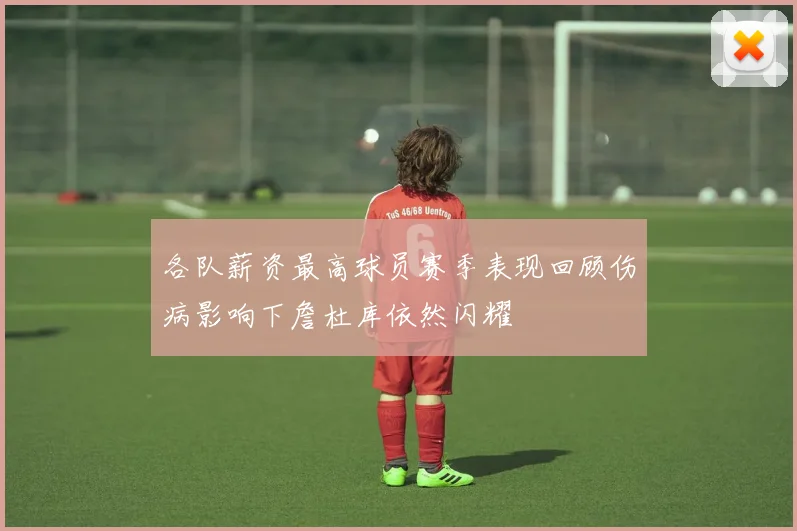 各队薪资最高球员赛季表现回顾伤病影响下詹杜库依然闪耀