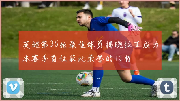英超第36轮最佳球员揭晓拉亚成为本赛季首位获此荣誉的门将