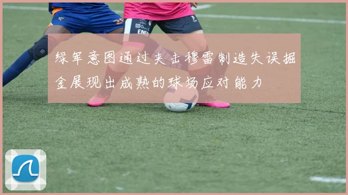 绿军意图通过夹击穆雷制造失误掘金展现出成熟的球场应对能力