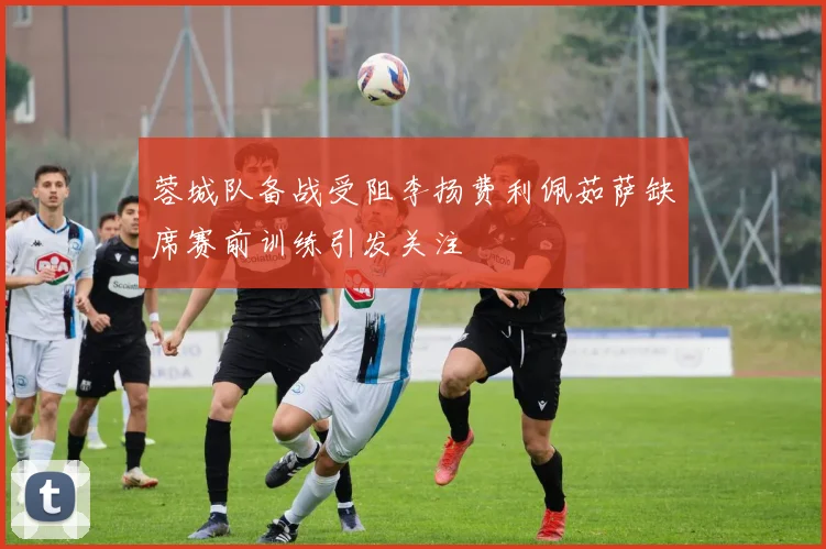蓉城队备战受阻李扬费利佩茹萨缺席赛前训练引发关注
